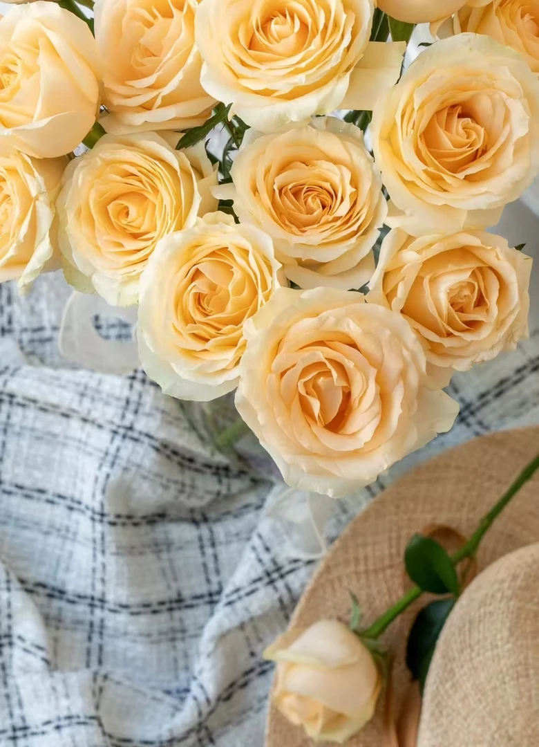 A8【香槟+艾莎+洛神+折射泡泡+洋桔梗+尤加利叶】