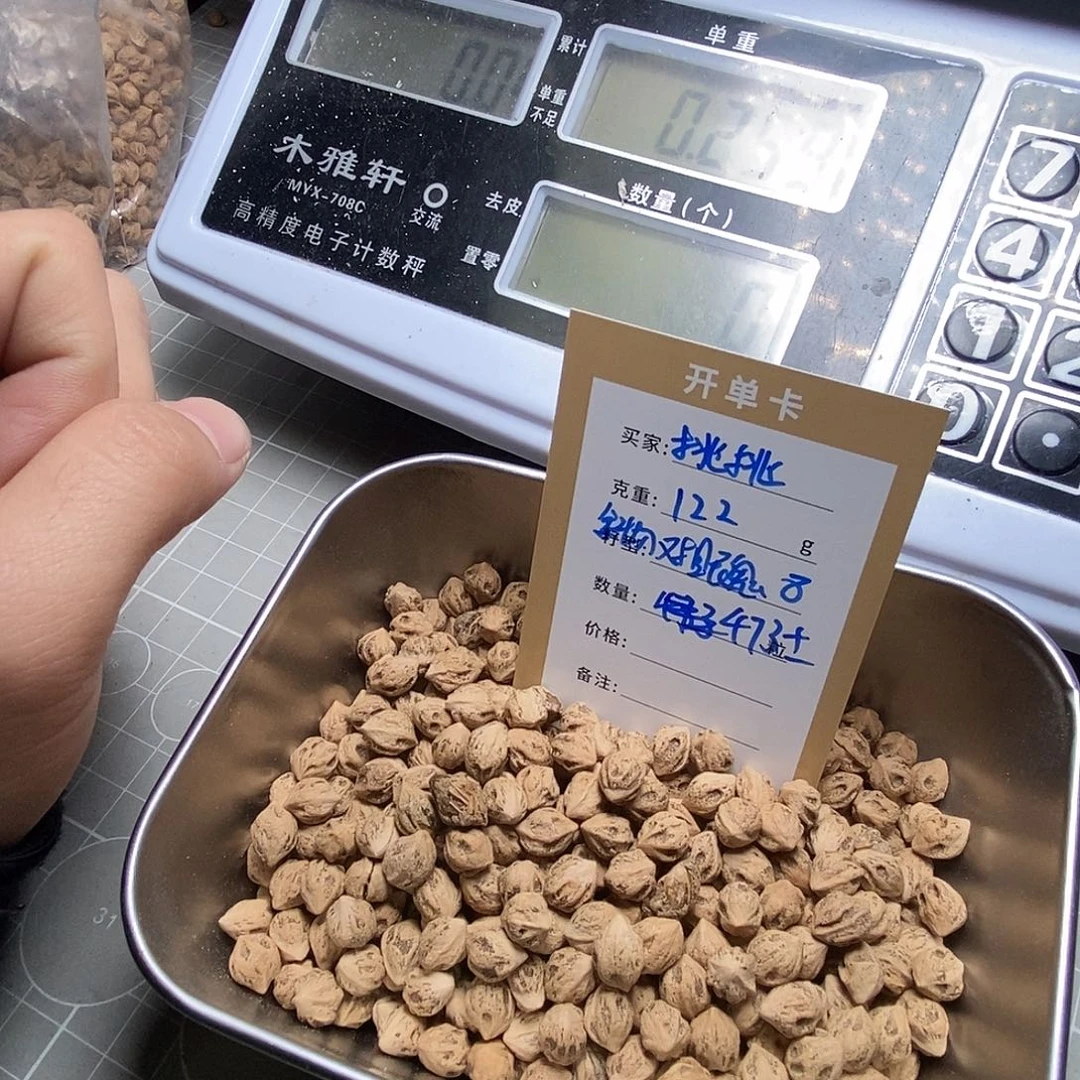 挑***看吊坠柏香籽/百香籽