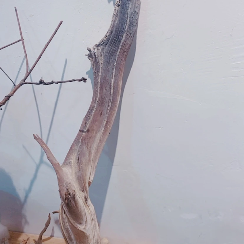 【闪购商品】柏木道****5太行天下第一