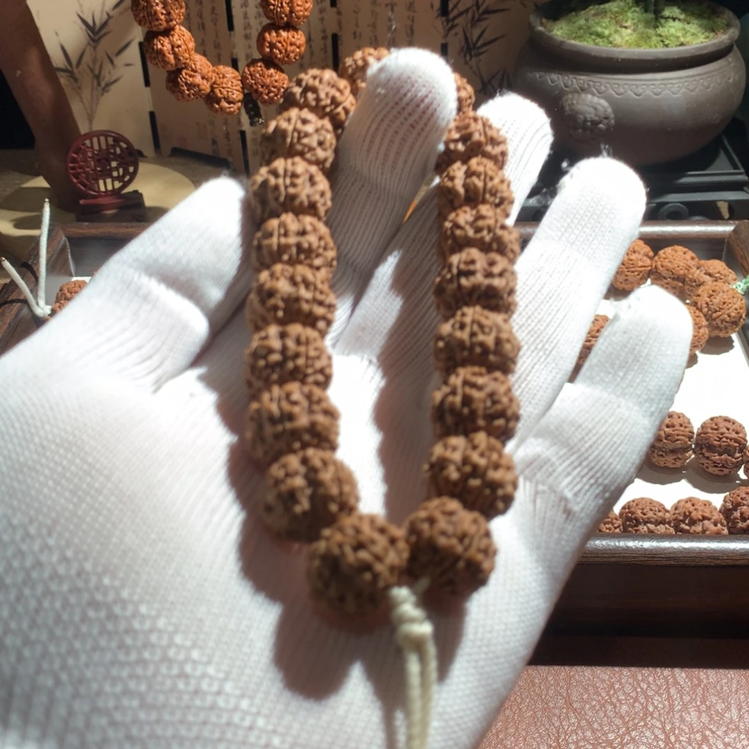 手串金刚菩提帝王花16