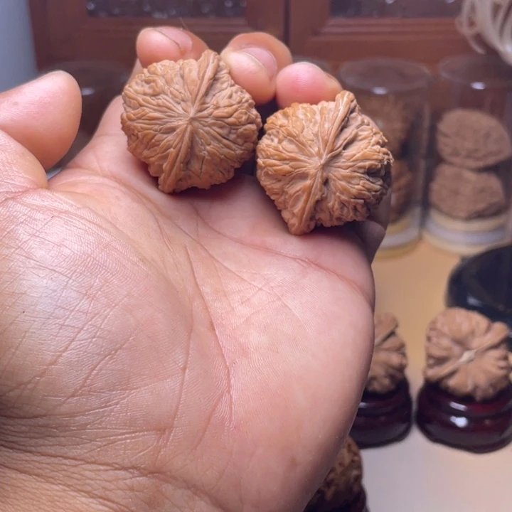 39全品山地石子磨
