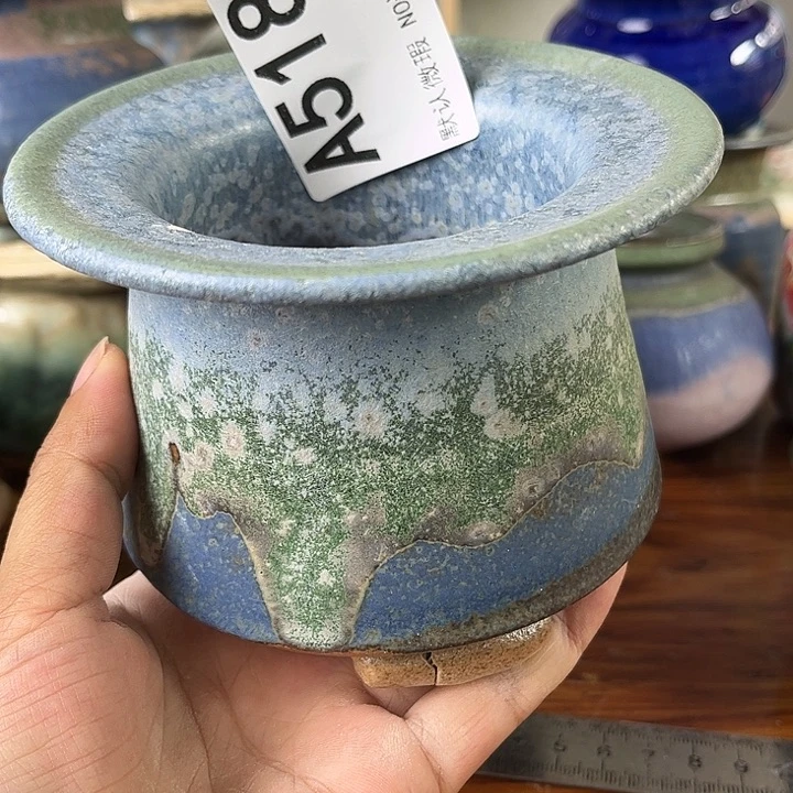 重庆小燕子欢迎大家518