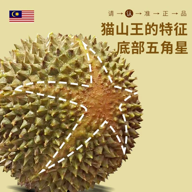 一物一拍《猫山王榴莲》液氮冷冻顺丰包邮树熟果马来西亚进口