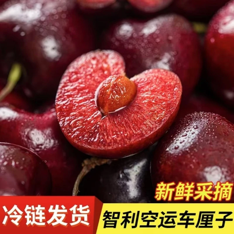 JIU4J车厘子5斤果王海运京东送货到家 内附果径卡