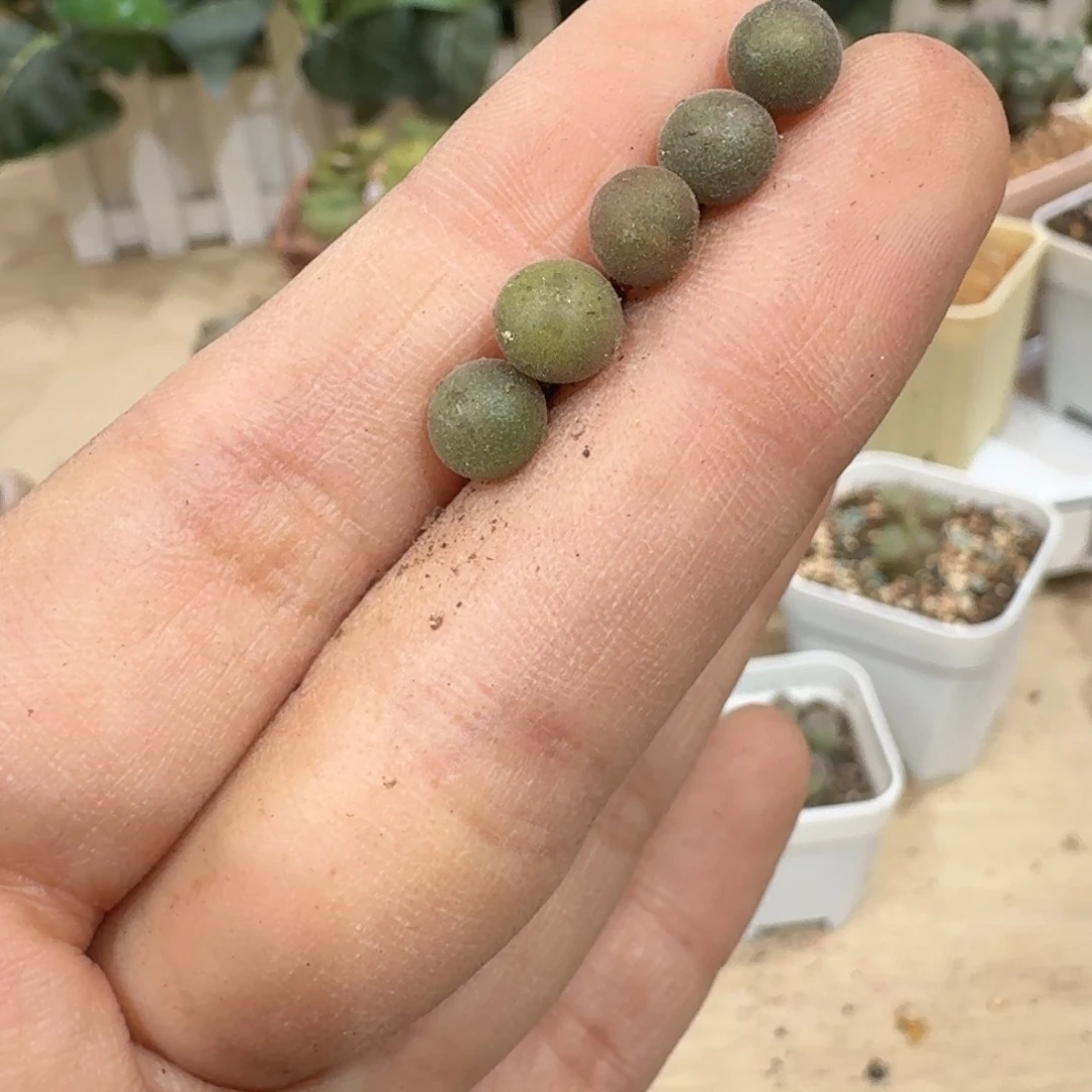 一***勾118ppppppppppppppppp