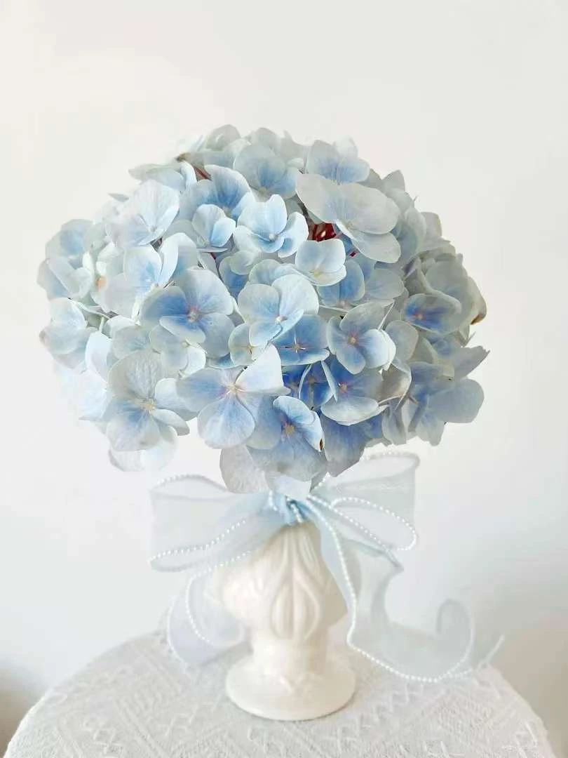 【马丽亚马 绣球鲜花】云南产地直发 | 新鲜采摘