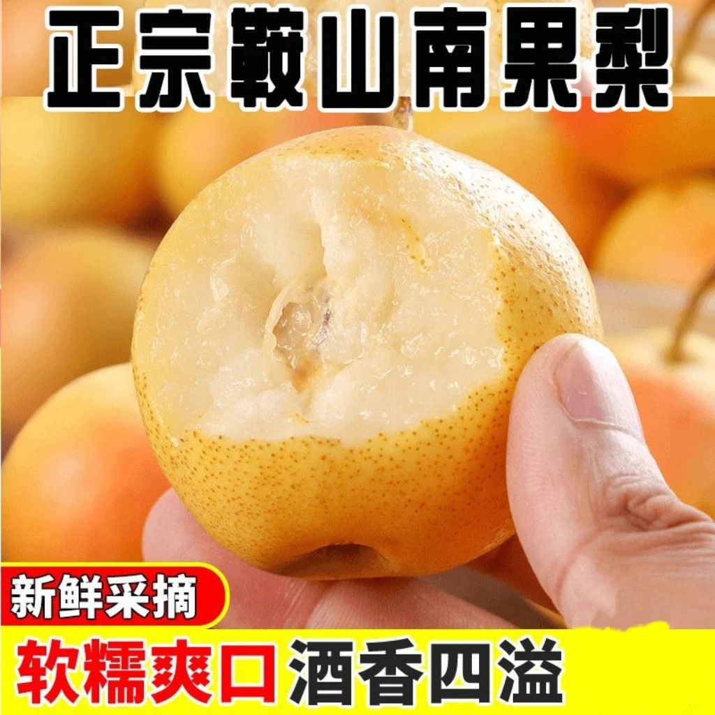 东北辽宁鞍山海城特产南果梨（苹果老树笨果）老品种新鲜香甜水果