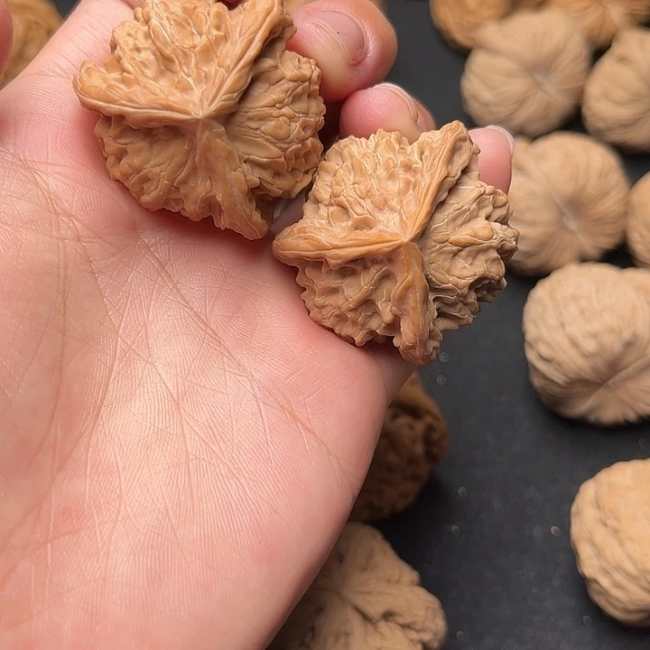 核桃37盘山三棱福利对