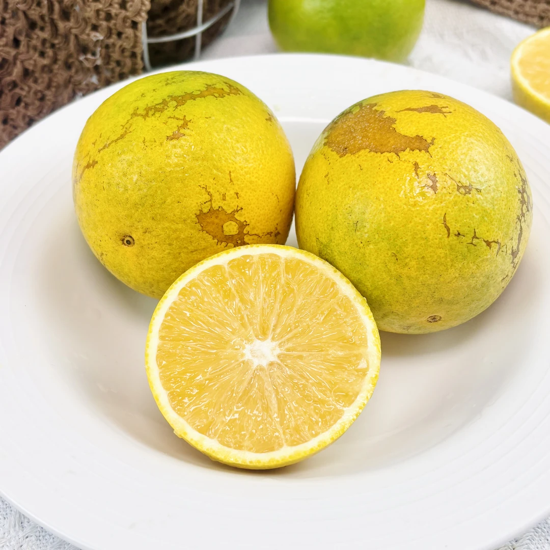 云南丑橙太阳斑橙哀牢山纯甜无酸清新香甜果肉带脆橙香四溢5斤