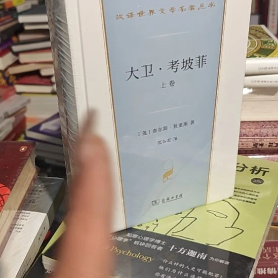 大卫考坡菲两本一套库存书