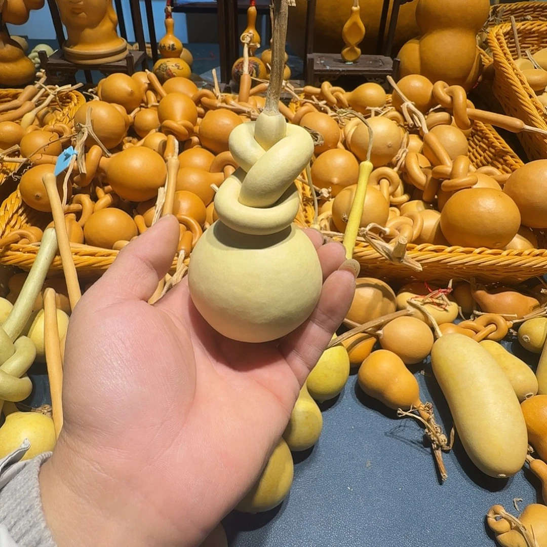 昀***儿葫芦科动物大白腿鸟类分布