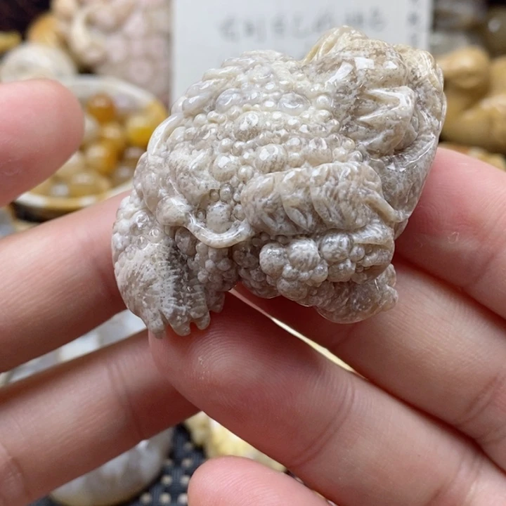 硅化珊瑚（珊瑚玉）颈饰未镶嵌