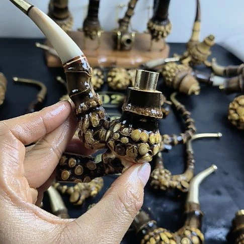 和***来紫竹wuhdrjgdghvfjnfcjvxv