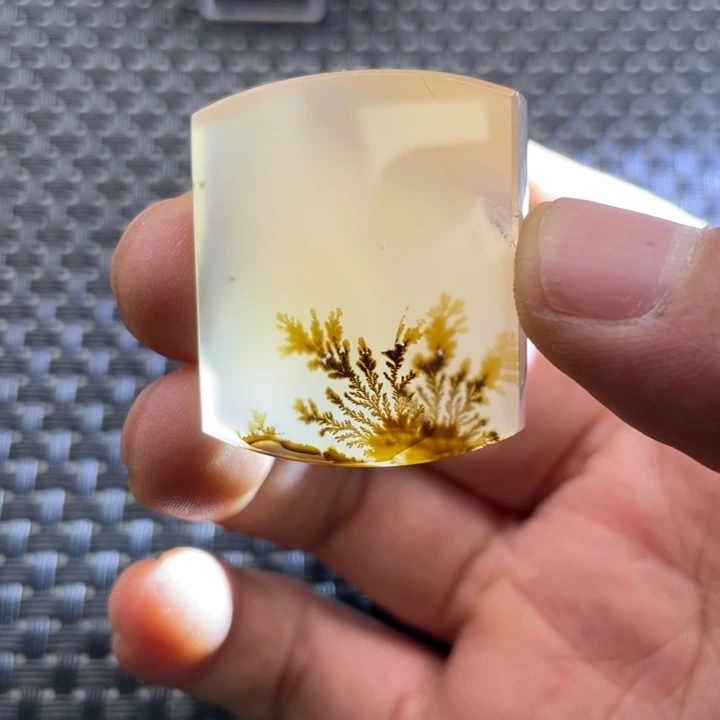 公***羽玛瑙/玉髓未镶嵌颈饰