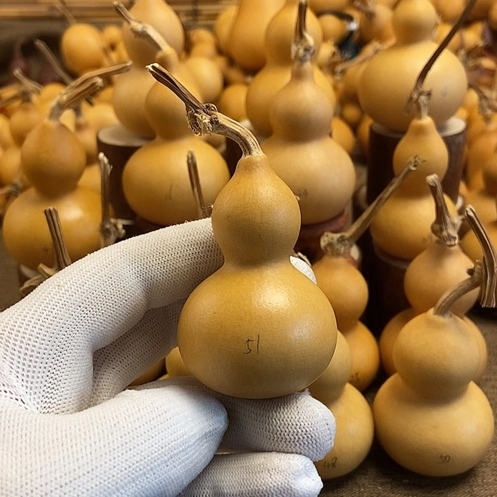 文玩葫芦 完美主义者 慎拍51