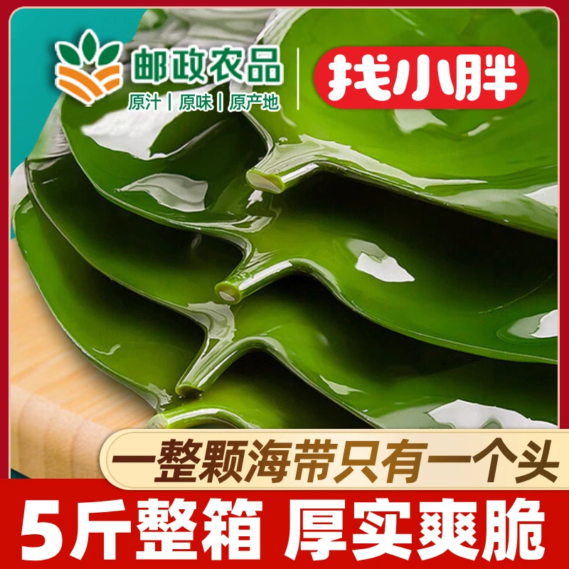 找小胖海带头荣成新鲜盐渍海带根厚海带精选15-25cm 到手净重5斤