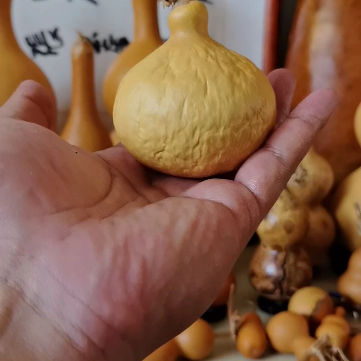 文玩葫芦抽抽。。。。