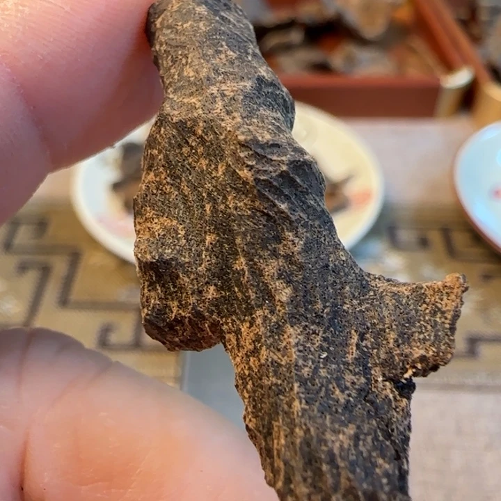 沉香摆件老海南沉水鸡母虫1.89克