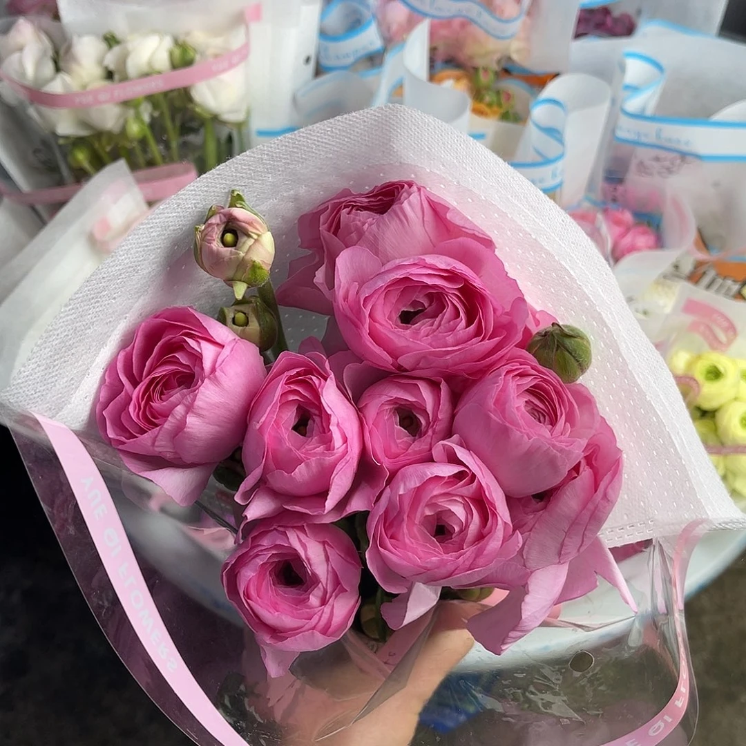 完全开放月琪（莱茵河）8-10枝