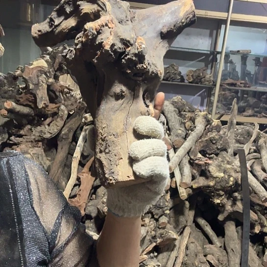 香榧木J****邦火琉璃的故事毛料，播