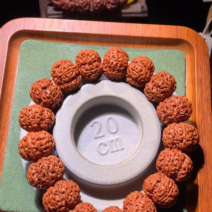 手串金刚菩提开播福利21+五星双龙