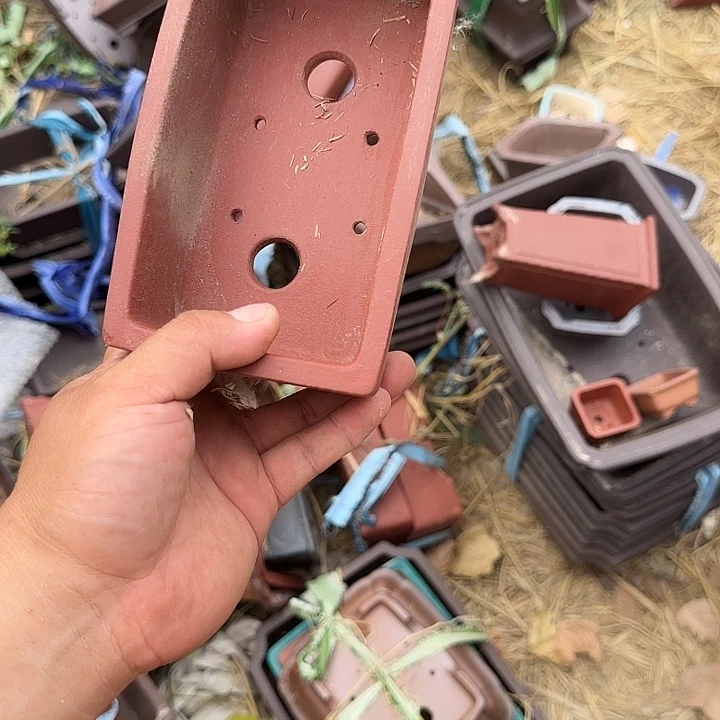 一天没事啊不敢打电话就