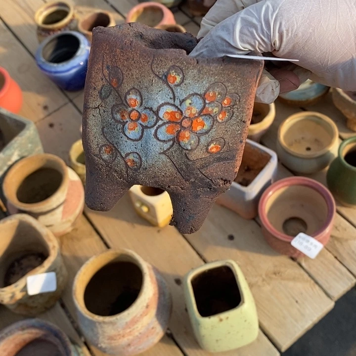 红陶用****990号多肉盆一个呀