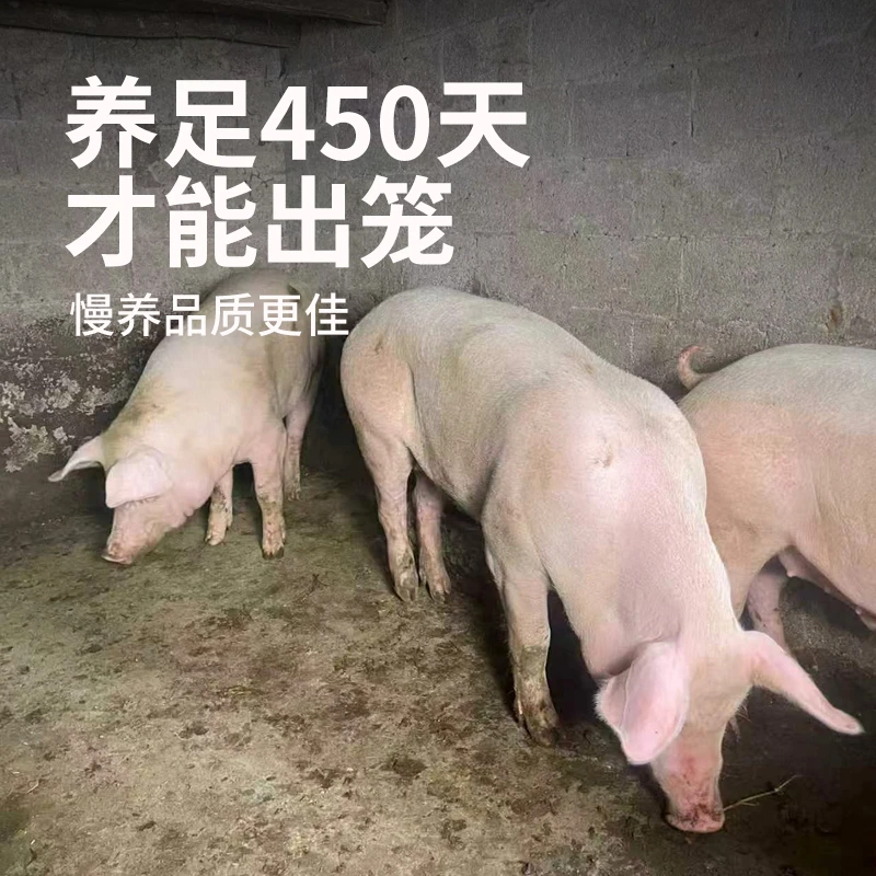 精品五花肉5斤（新鲜农村熟食喂养1年多土猪）