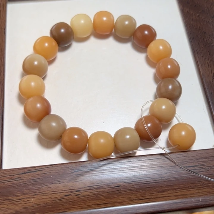 菩提根/象牙果手串原生态落地果