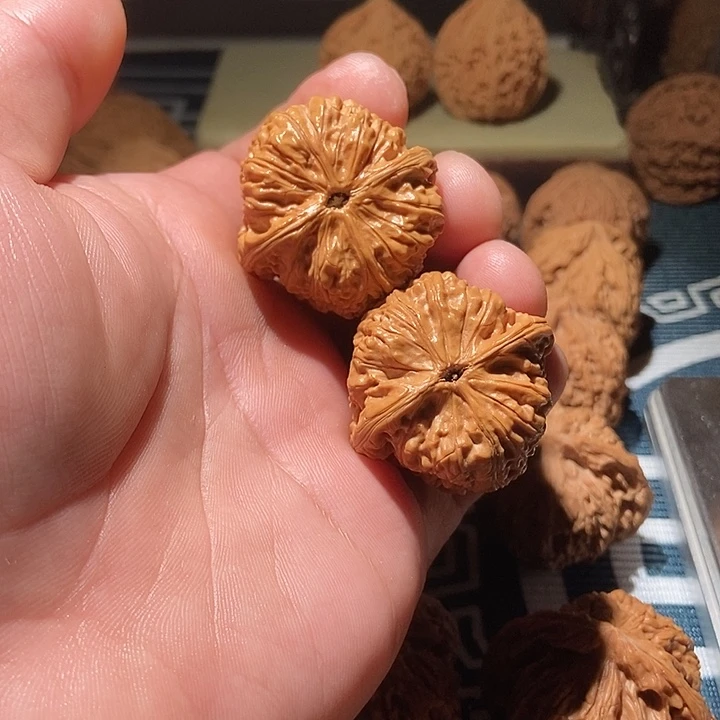 吊坠文玩核桃金蝉子