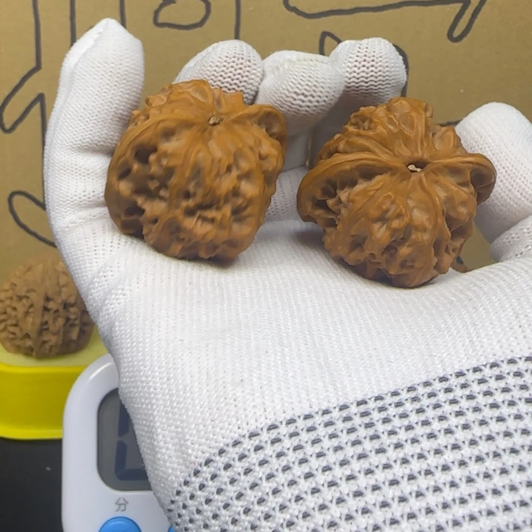 净***志龙脊菩提吊坠野狼