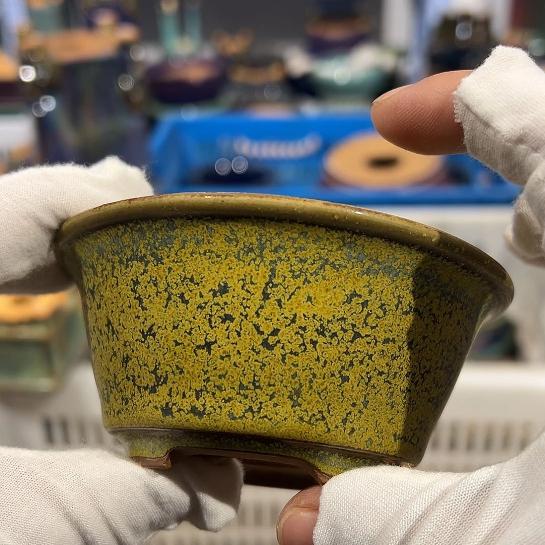 碗觉象原创作品欣赏