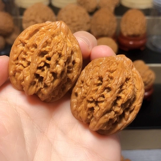 特价：九龙筋全品