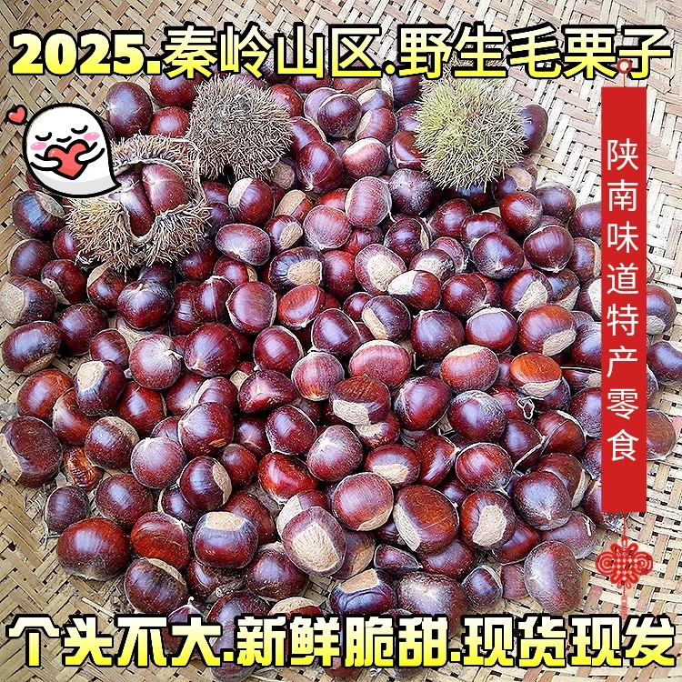 陕南特产毛栗秦岭山区镇安野生小毛栗新鲜油栗子/大板栗5斤包邮