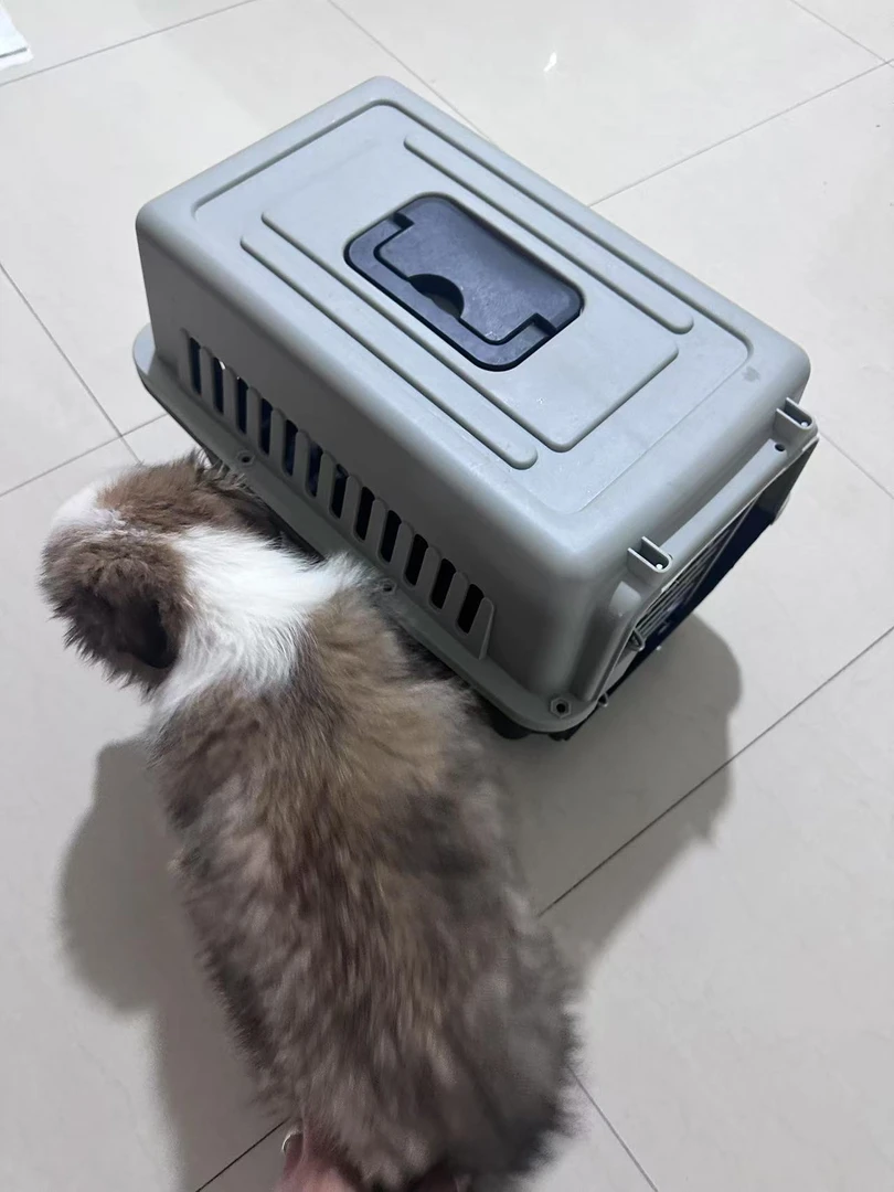 宠物通用链接   航空箱