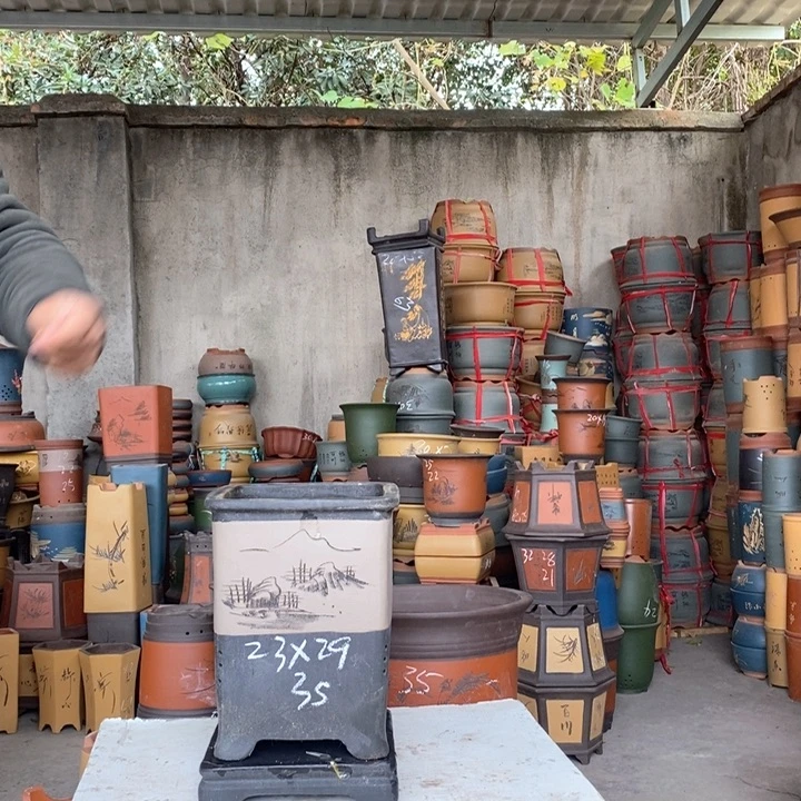 紫砂花盆盆栽花卉种植