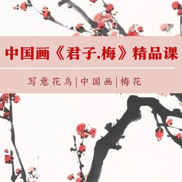 君子·梅 —精品视频课