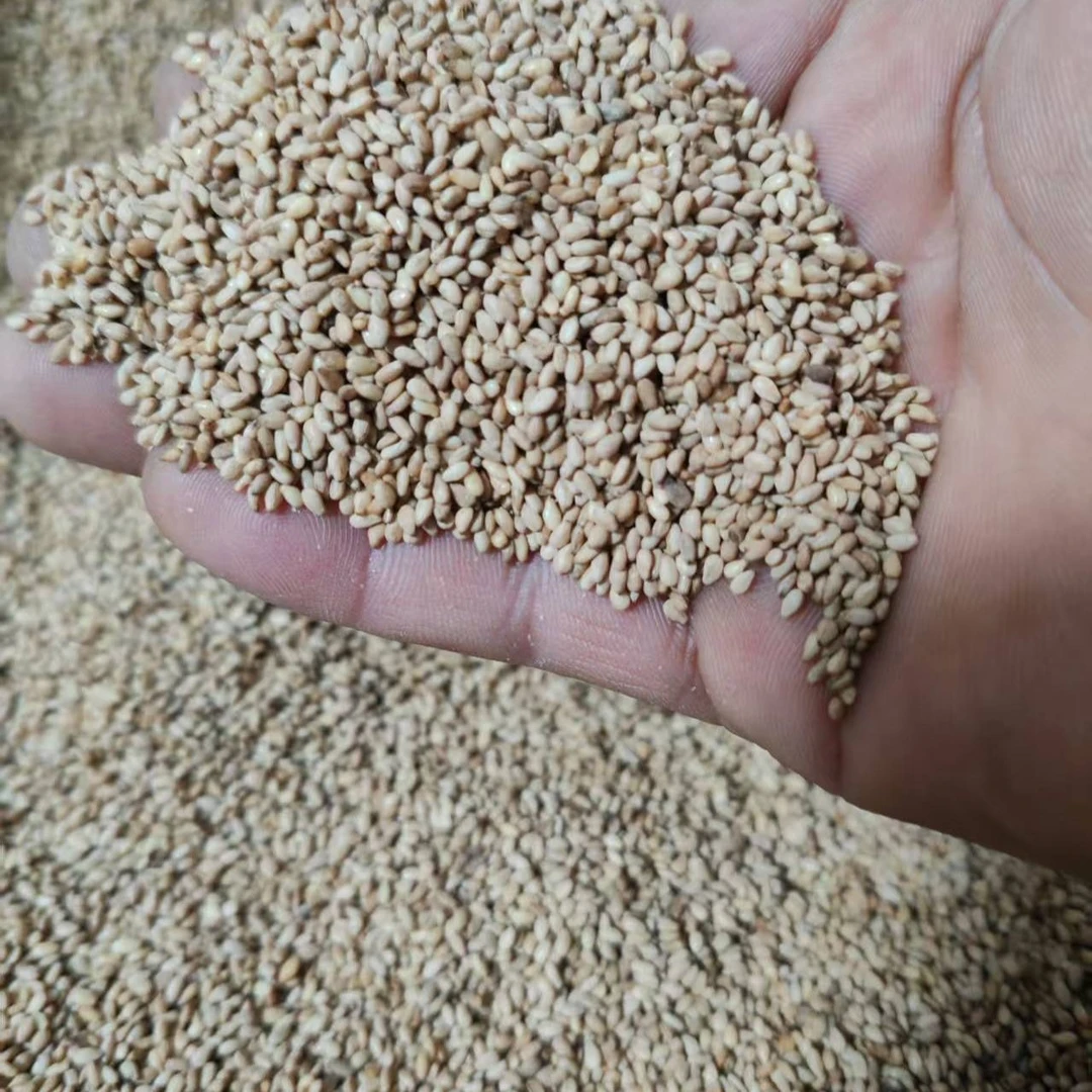 白芝麻 农家自种白芝麻