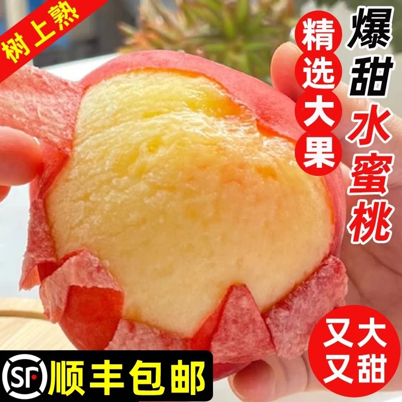 【顺丰特快】河北春雪水蜜桃新鲜水果当季现摘大果冬桃现货孕妇礼盒