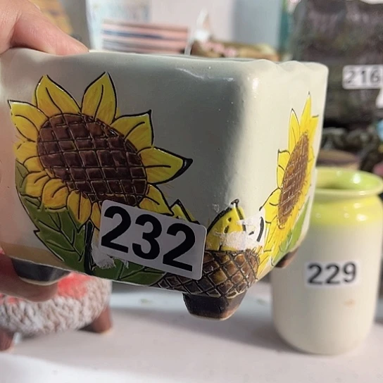 红陶多肉植物花盆