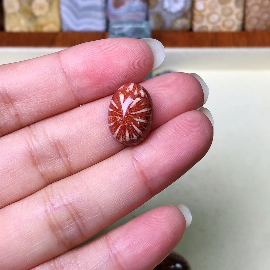 石英质玉颈饰未镶嵌名*