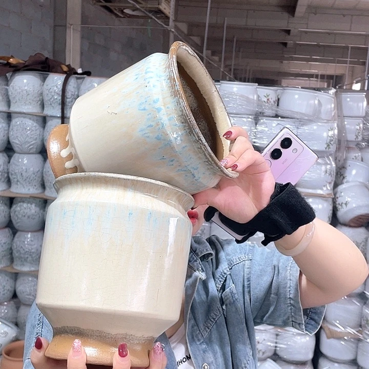 正品高20口17两个