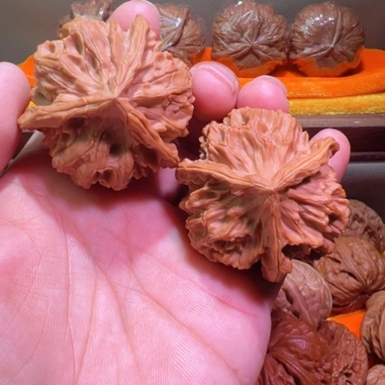 48边正奔粗筋龙鳞纹精品