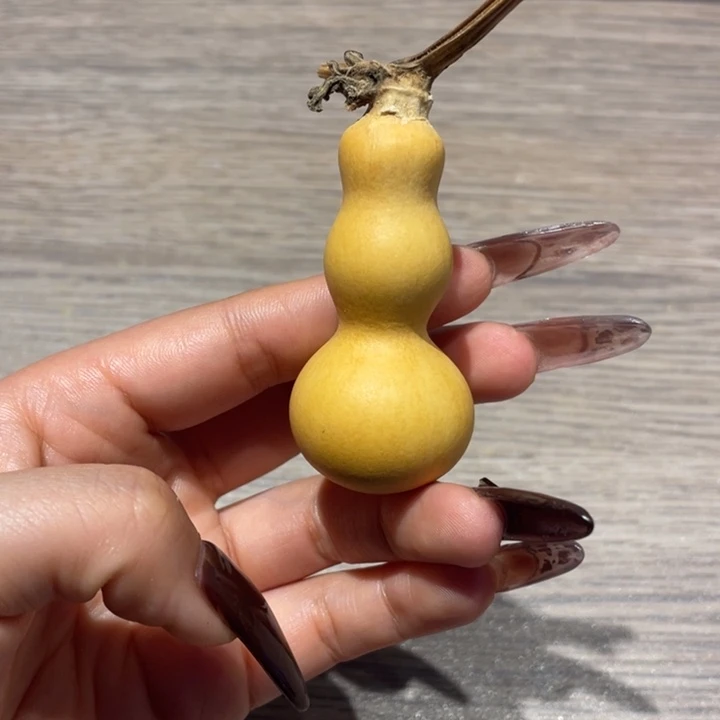 半***翠葫芦葫芦葫芦葫芦