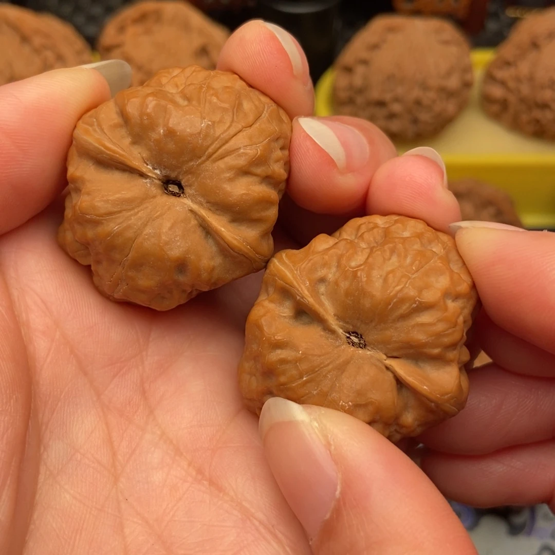 文玩核桃吊坠古蝉