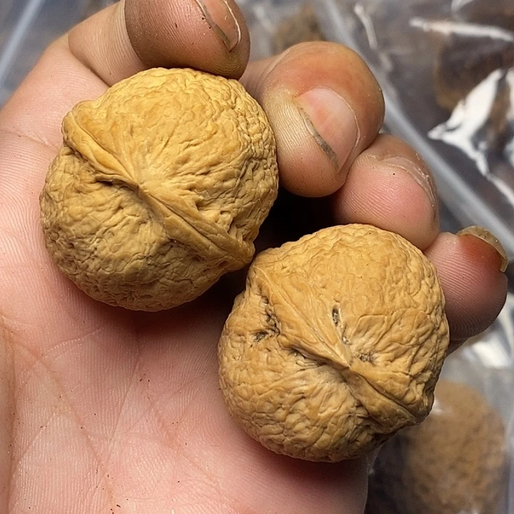 把件文玩核桃云南铁核桃44号36mm