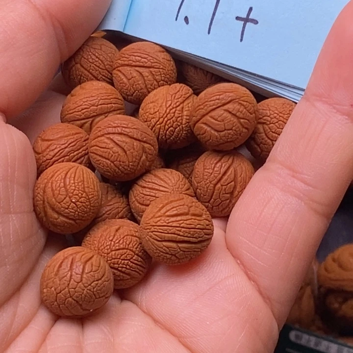 秦岭龙纹桃核21颗