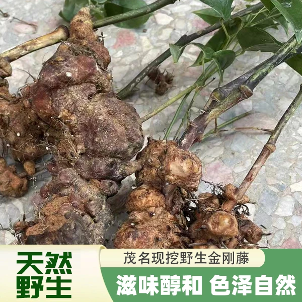 茂名农家正宗纯天然野生现挖的金刚藤 可煲汤