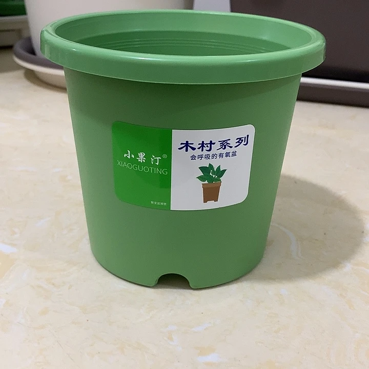 小果汀15口绿10个无托