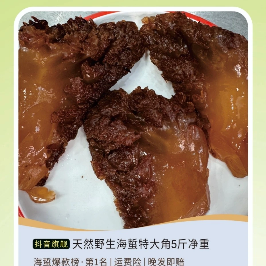 特级海鲜野生海蜇特大角5斤装桶+1斤
